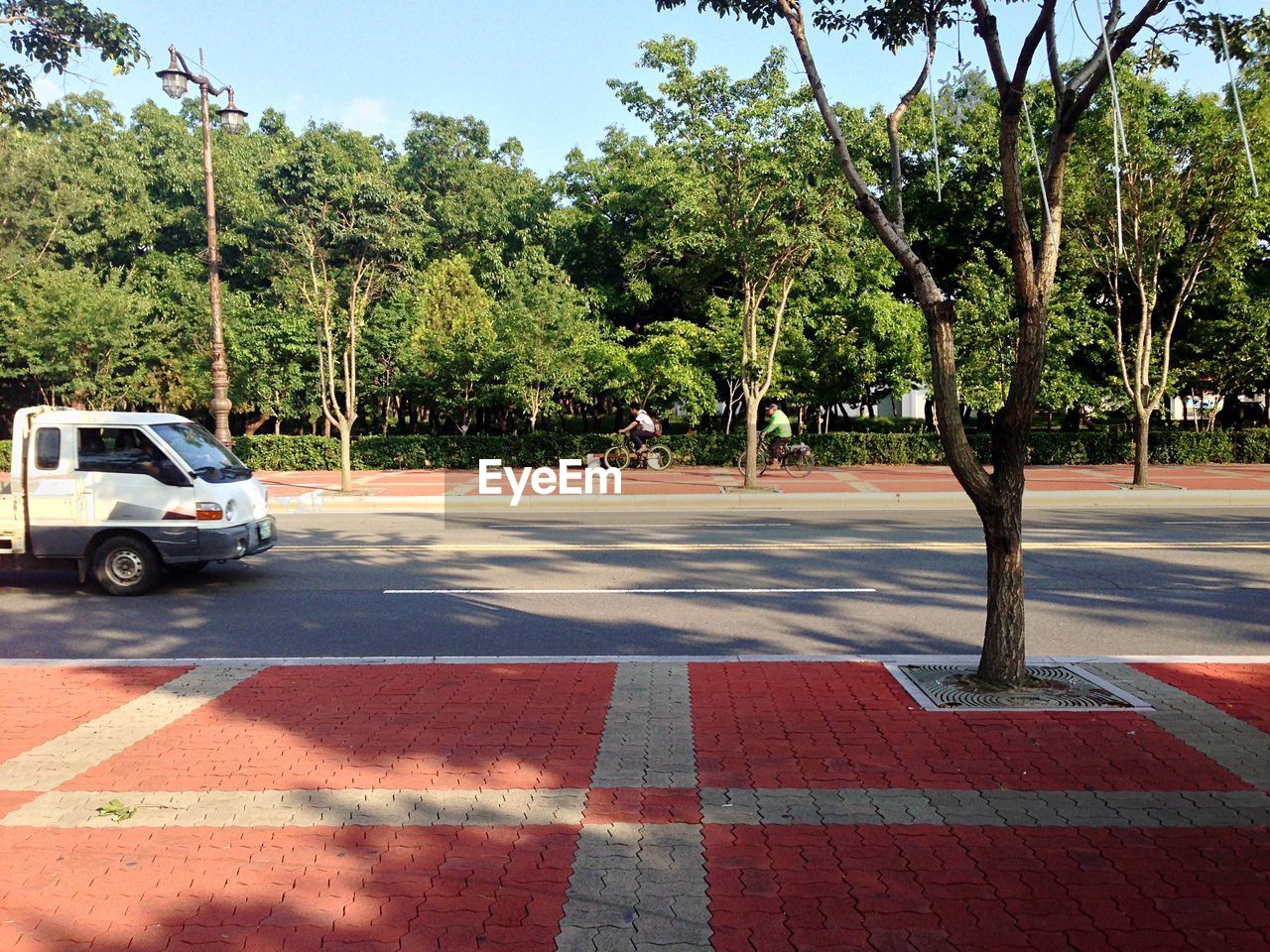 Men riding bicycle on sidewalk by street against trees