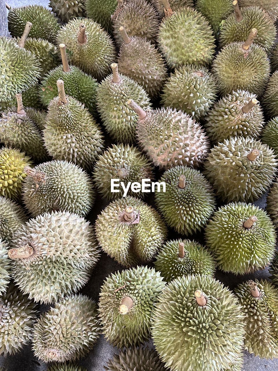 food, food and drink, durian, healthy eating, plant, produce, freshness, fruit, no people, wellbeing, large group of objects, market, full frame, abundance, green, backgrounds, close-up, retail, high angle view, day, nature, spiked, still life, outdoors, for sale, thorn