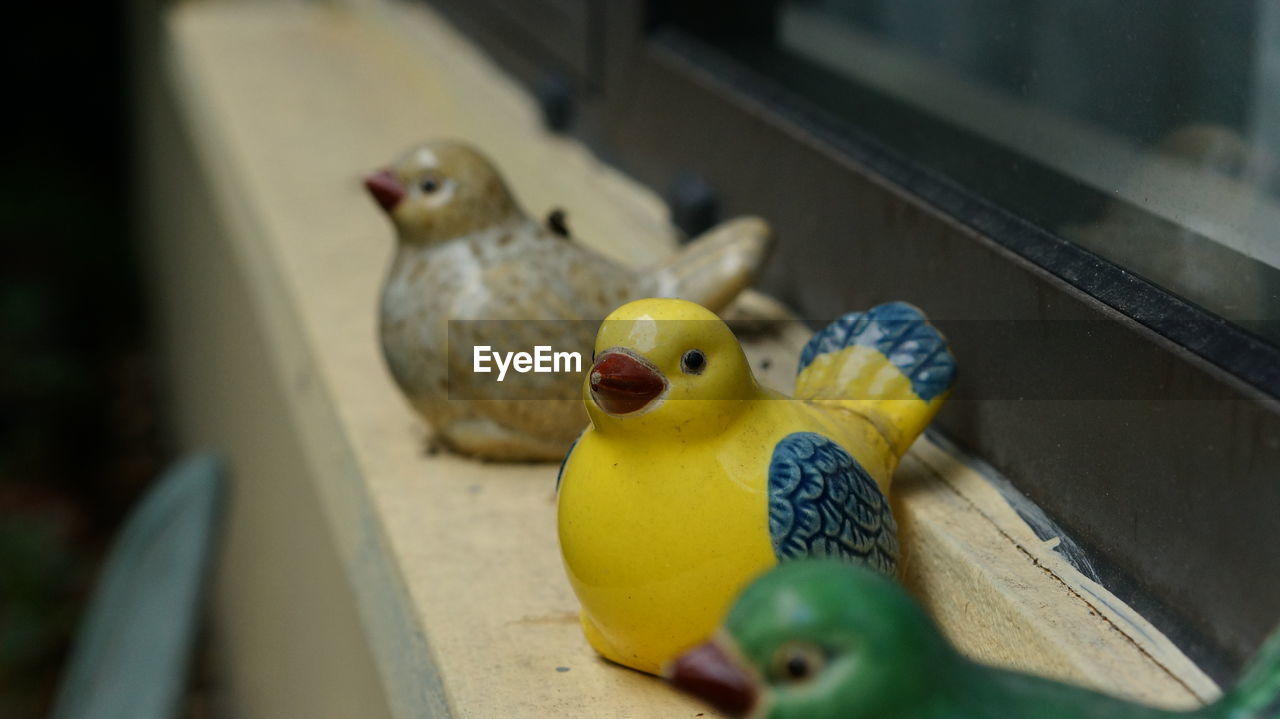 animal, animal themes, bird, yellow, duck, chicken, livestock, toy, no people, domestic animals, animal representation, parakeet, beak, group of animals, representation, pet, indoors, parrot, poultry, mammal, green, young bird