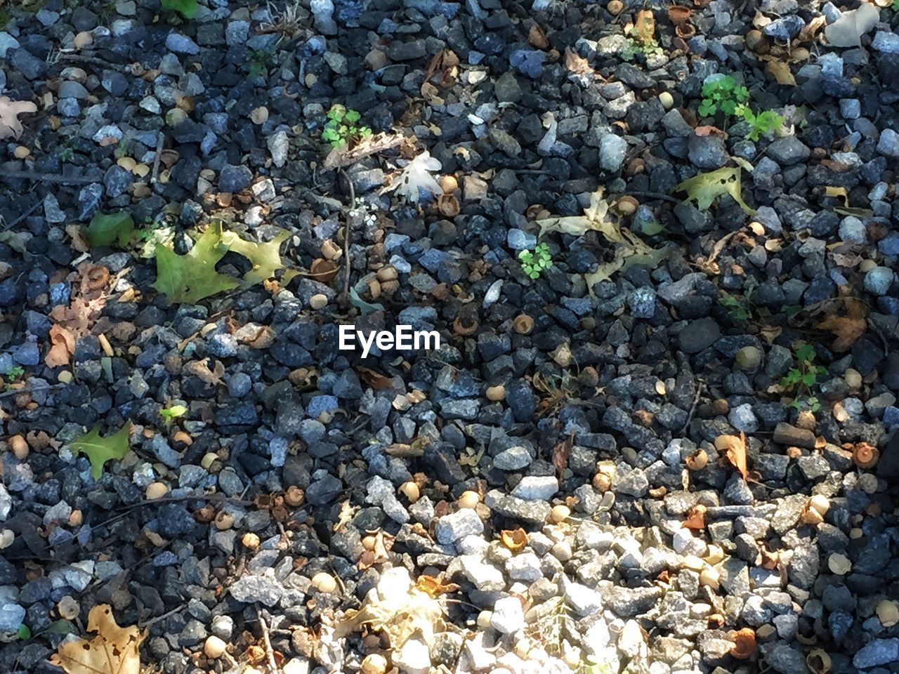 HIGH ANGLE VIEW OF STONE ON ROCKY FIELD