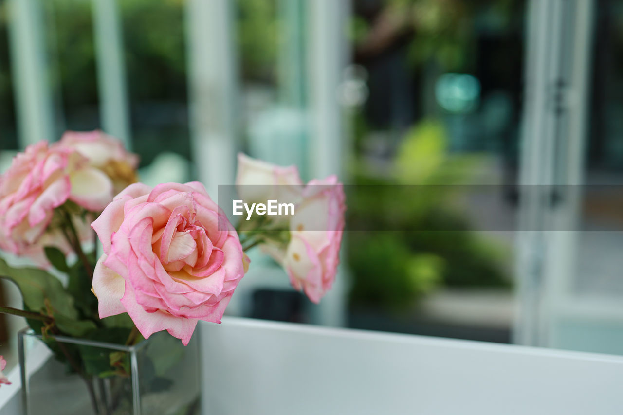 flower, flowering plant, pink, plant, rose, beauty in nature, floristry, freshness, nature, close-up, no people, floral design, flower head, flower arrangement, focus on foreground, bouquet, outdoors, fragility, petal, window, garden roses, day, vase, arrangement, table, inflorescence, selective focus, glass