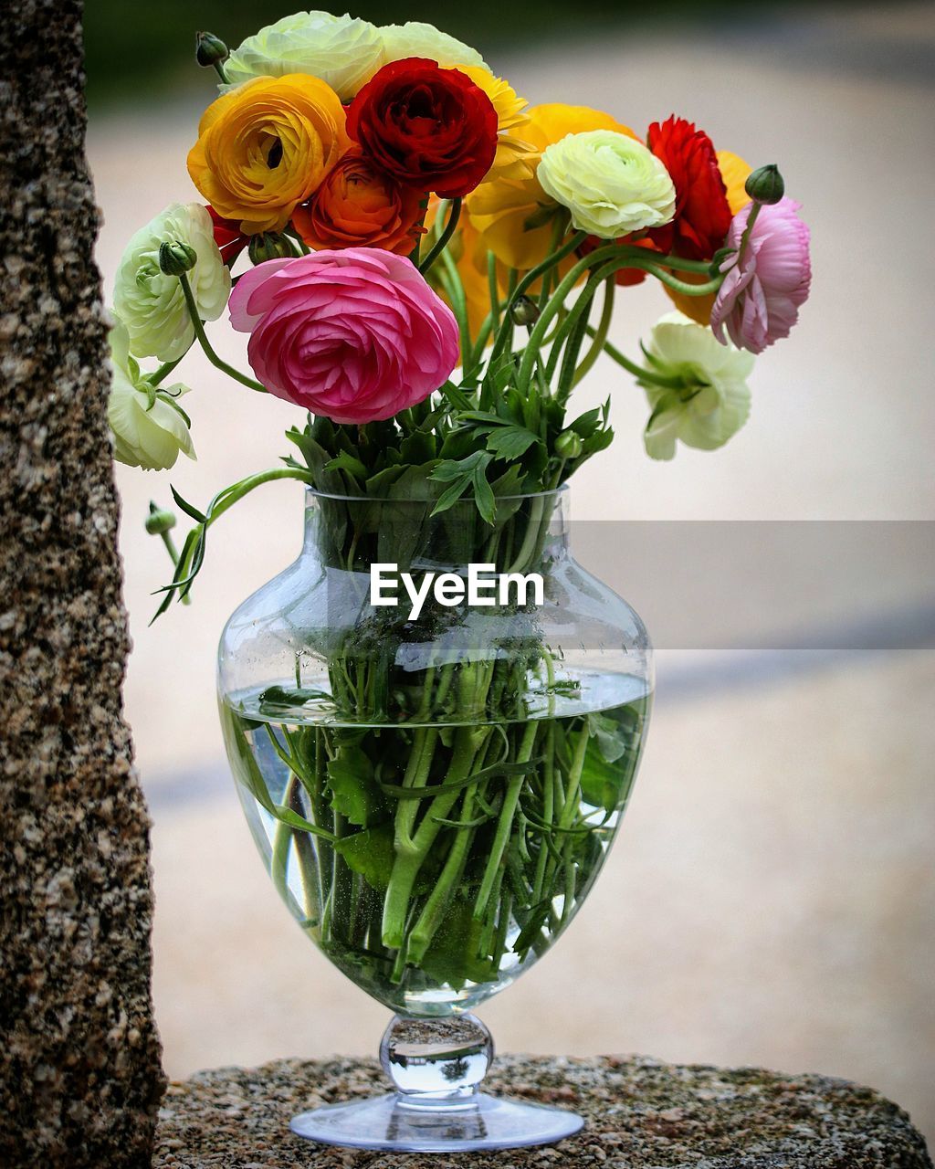 CLOSE-UP OF ROSE BOUQUET ON GLASS VASE