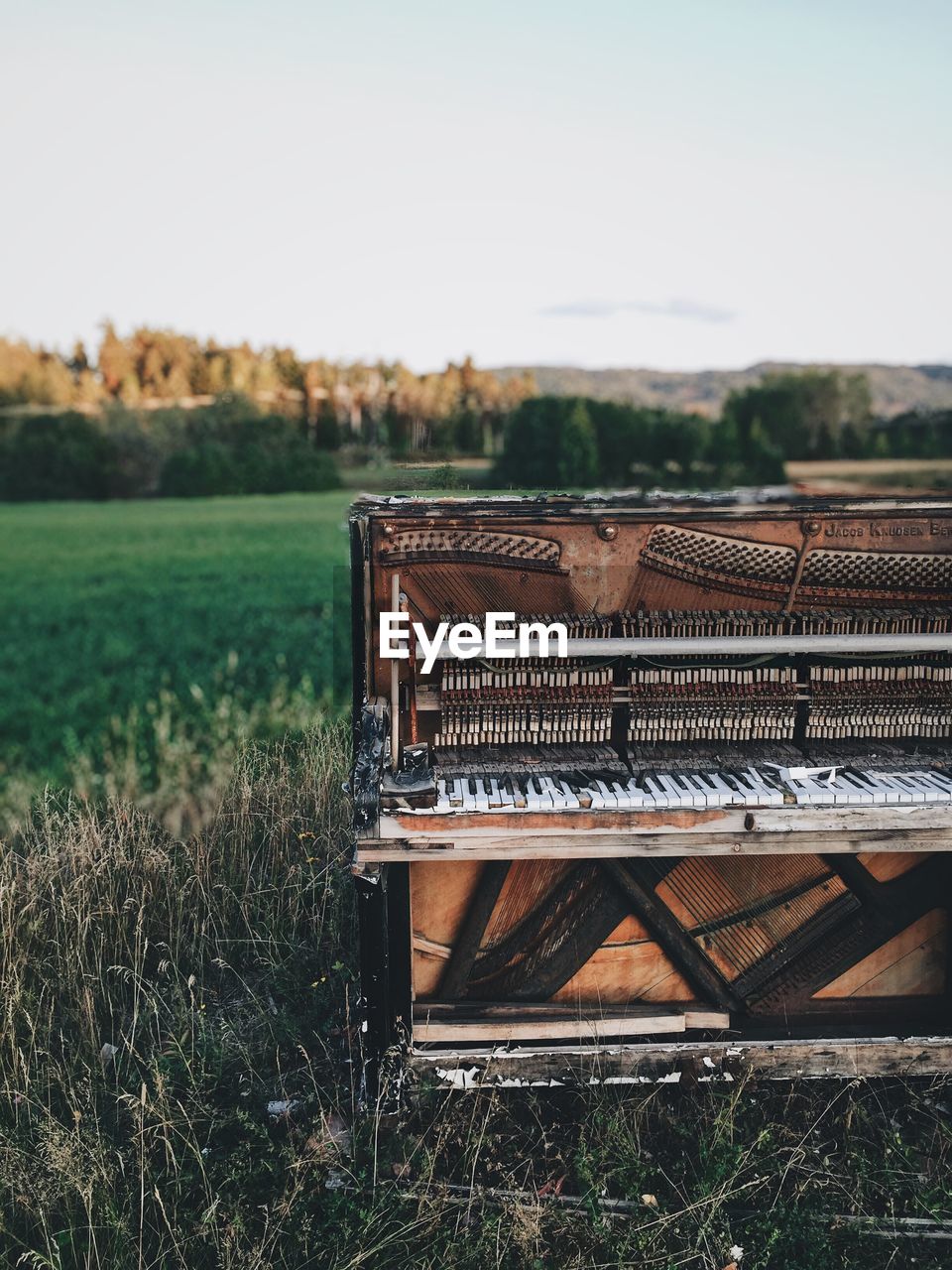 VIEW OF AGRICULTURAL FIELD