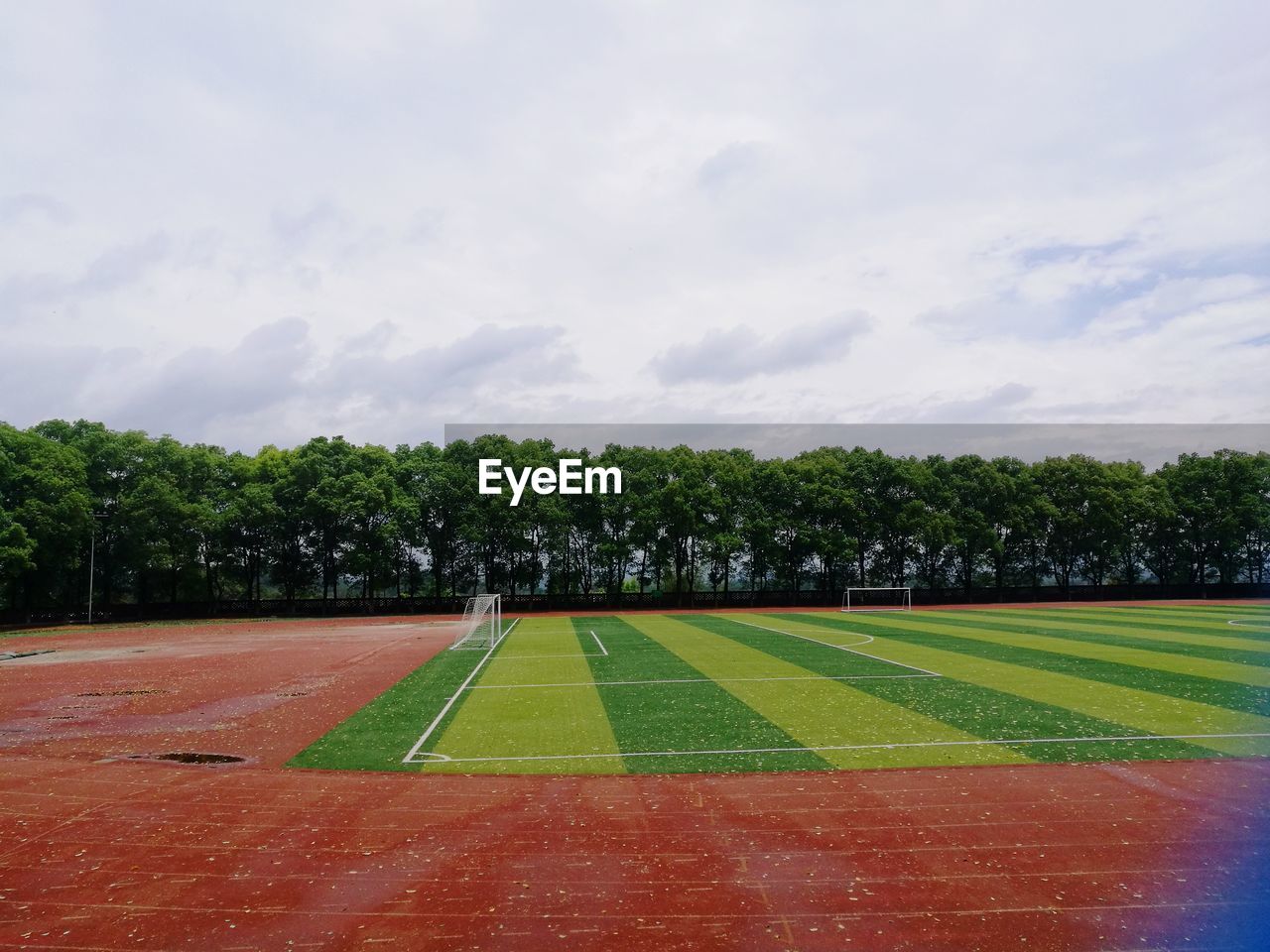 TREES ON FIELD