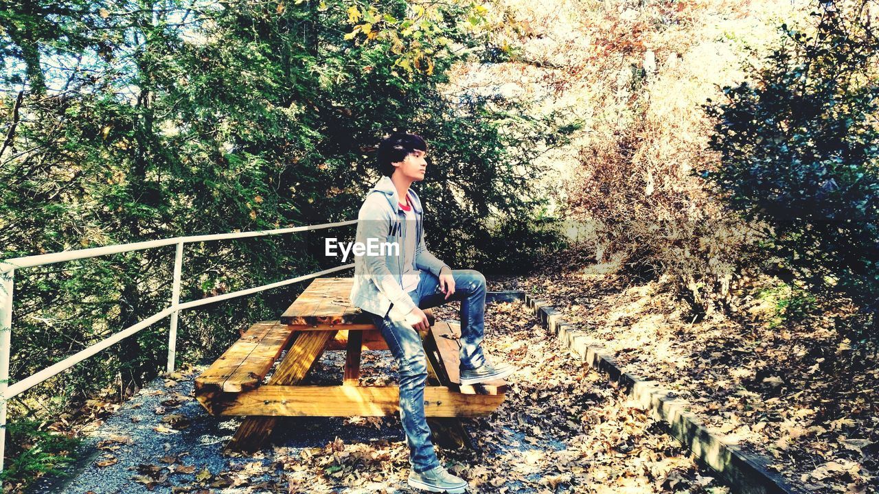 Side view of man sitting on picnic table in forest