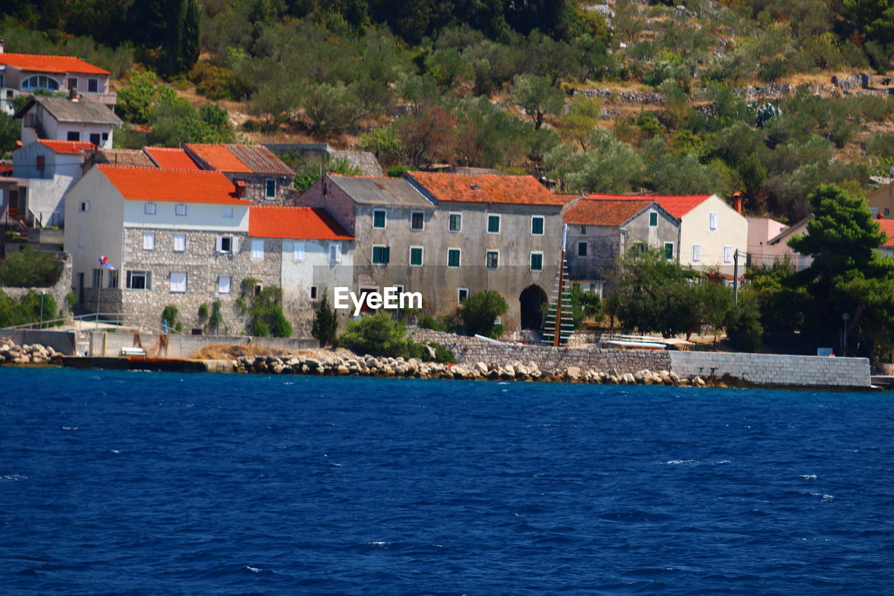 Houses by river against trees