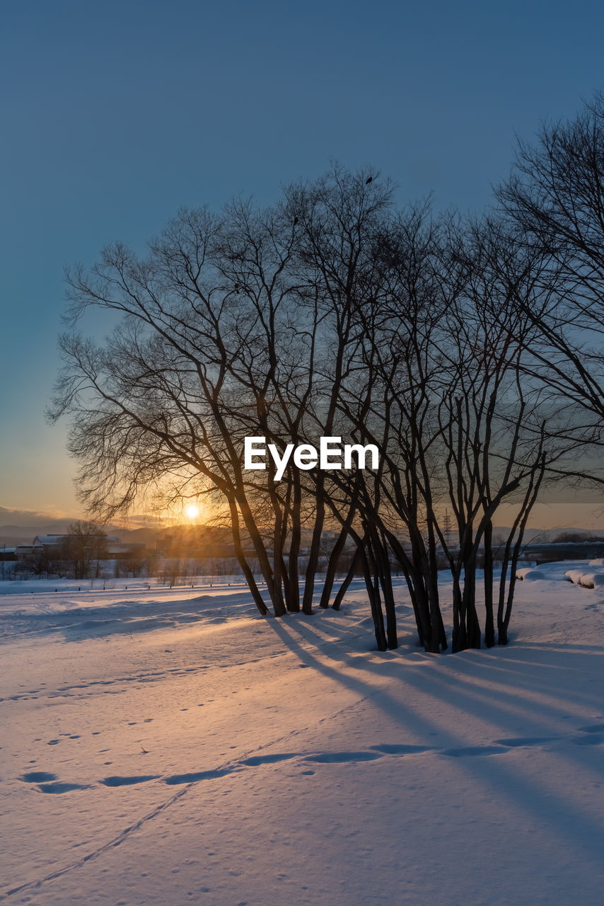 BARE TREE ON SNOW COVERED FIELD AGAINST SKY DURING SUNSET