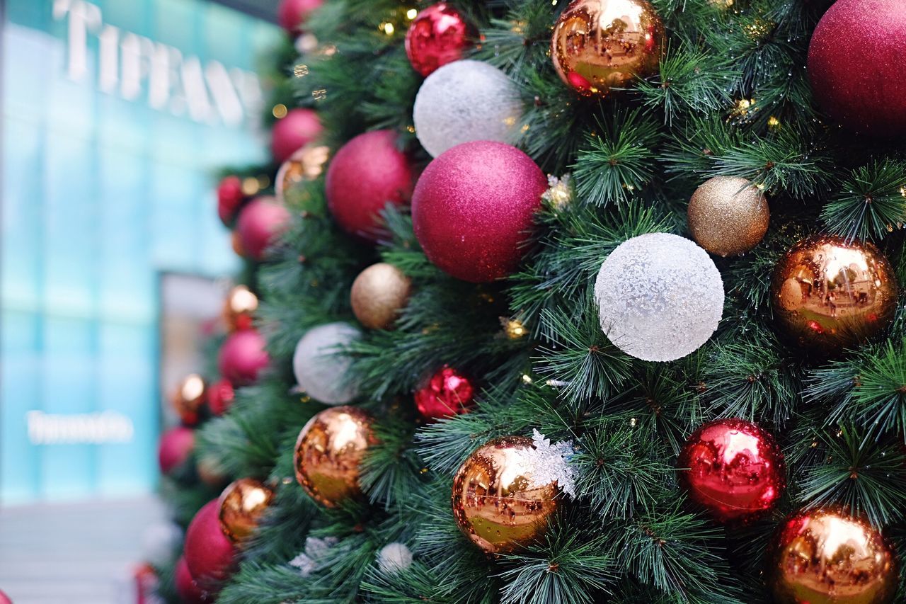 Close-up of christmas decorations on tree