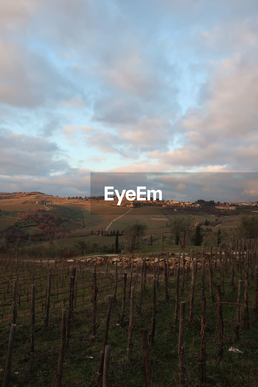 SCENIC VIEW OF FARM AGAINST SKY