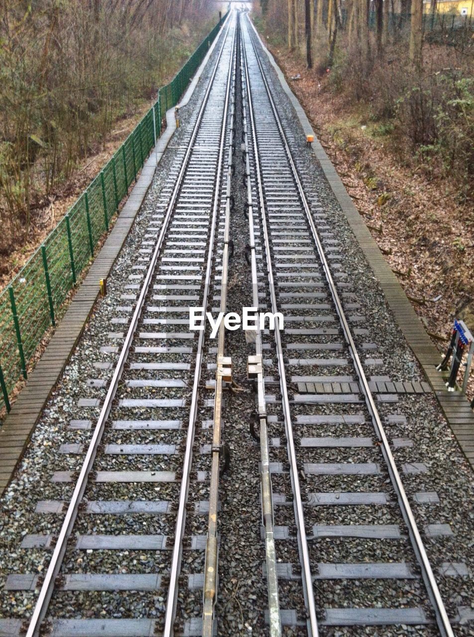 Railroad track passing through trees