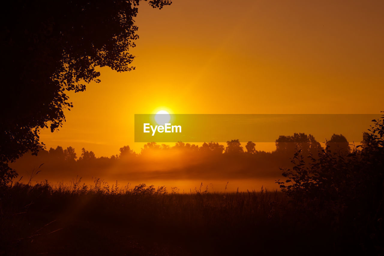 sunset, tree, sky, plant, beauty in nature, landscape, environment, scenics - nature, sun, nature, tranquility, silhouette, tranquil scene, orange color, sunlight, land, dawn, idyllic, no people, afterglow, rural scene, field, non-urban scene, cloud, forest, yellow, gold, outdoors, atmospheric mood, twilight, water, fog, summer, evening, multi colored, back lit, dramatic sky, sunbeam, red sky at morning, agriculture, grass, vibrant color, red, light - natural phenomenon, travel destinations, horizon, travel, woodland, backgrounds, urban skyline, leaf, plant part