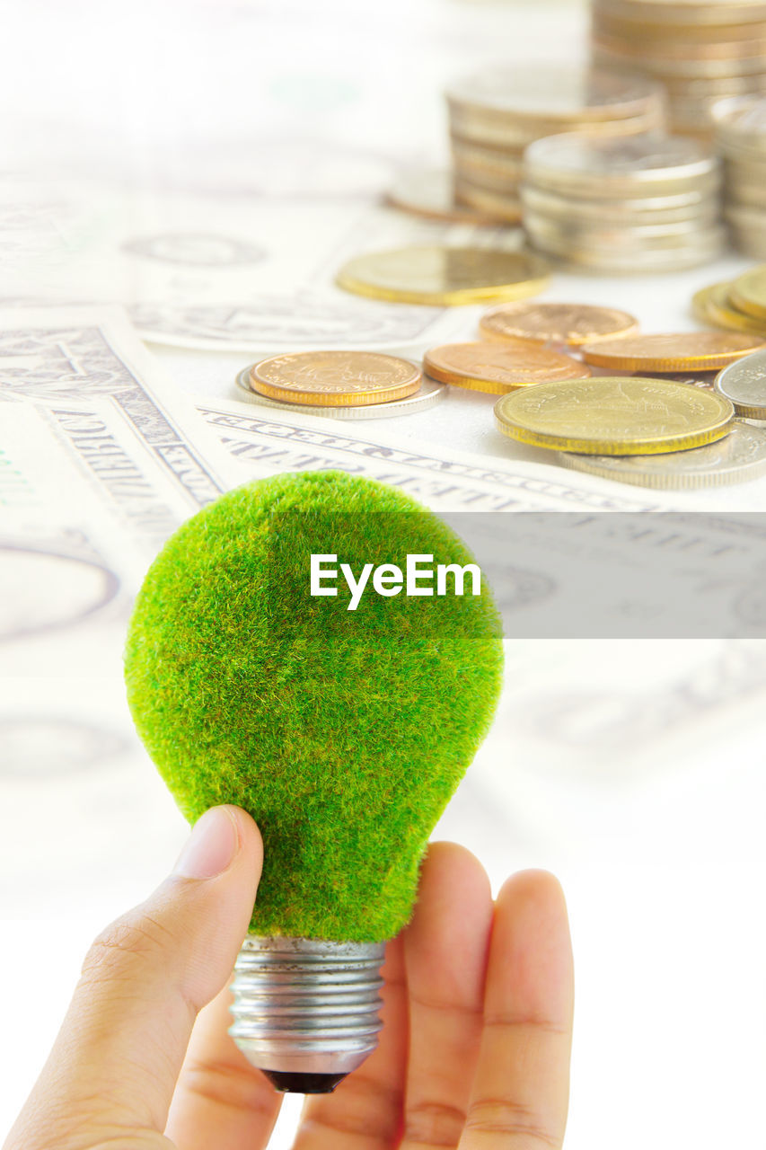 Cropped hand of person holding green light bulb with currencies in background