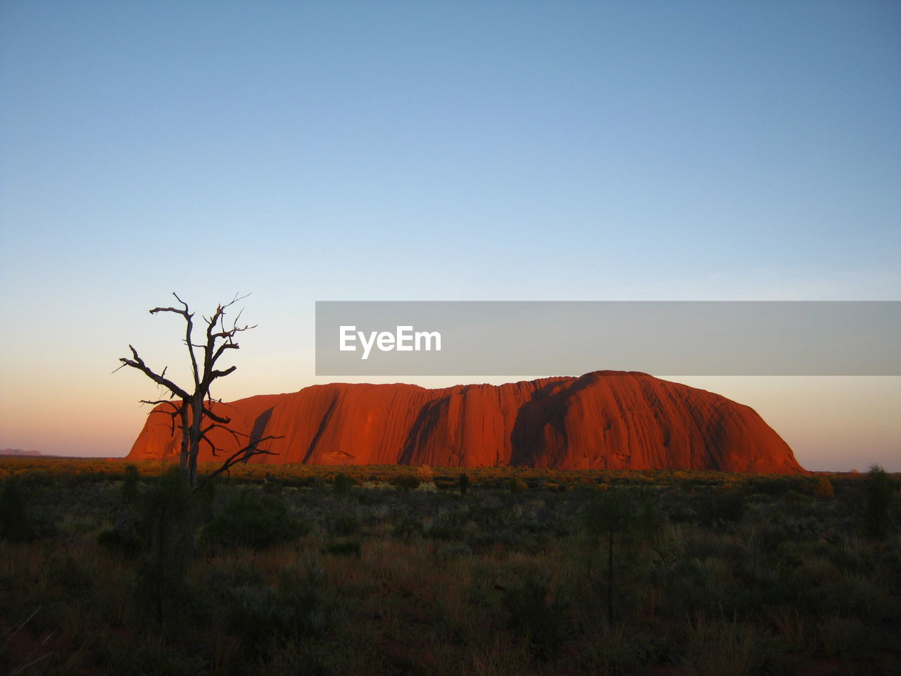 Scenic view of field against clear sky during sunset