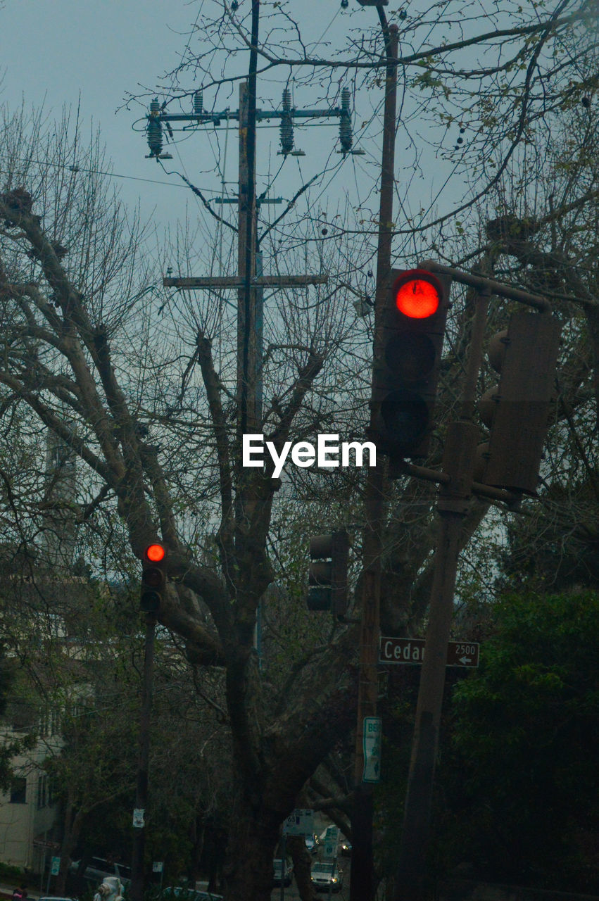 ILLUMINATED ROAD SIGN AGAINST BARE TREES