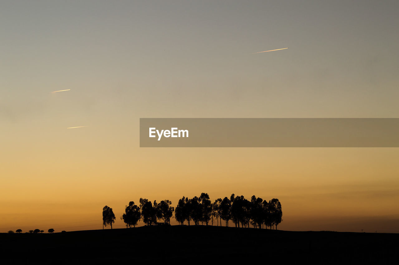 Silhouette trees on field against sky at sunset