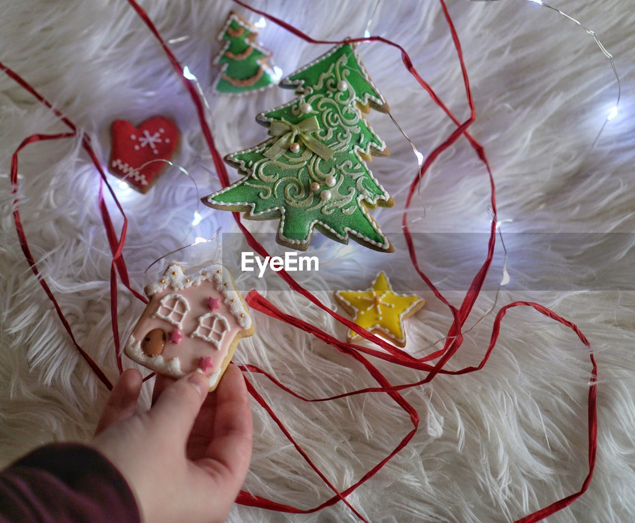 High angle view of hand holding gingerbread cookie on fur