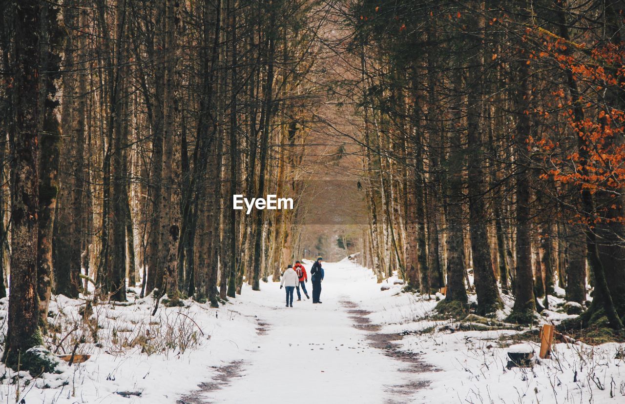 People walking on snow covered land amidst bare trees