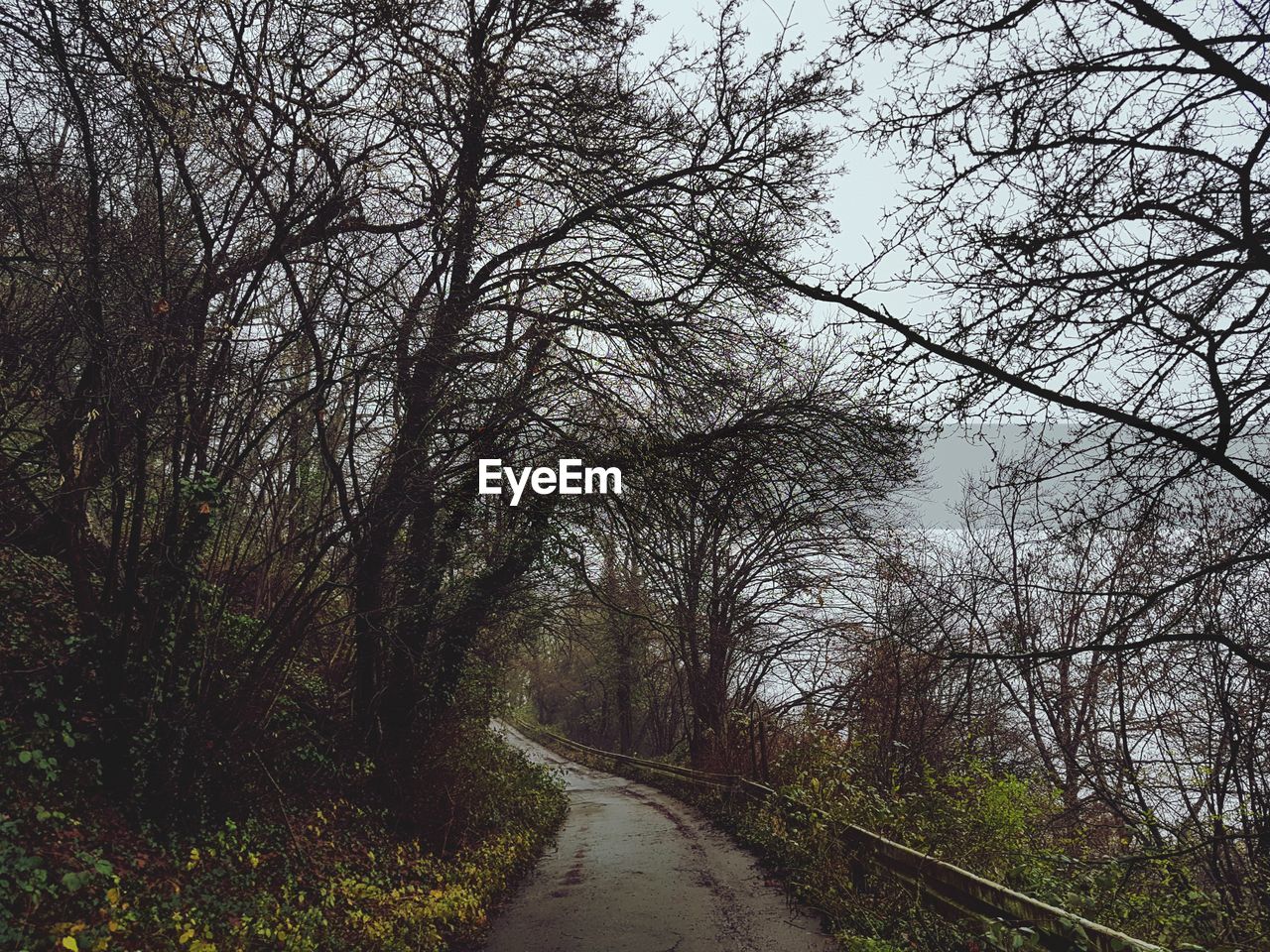 ROAD AMIDST TREES AGAINST SKY