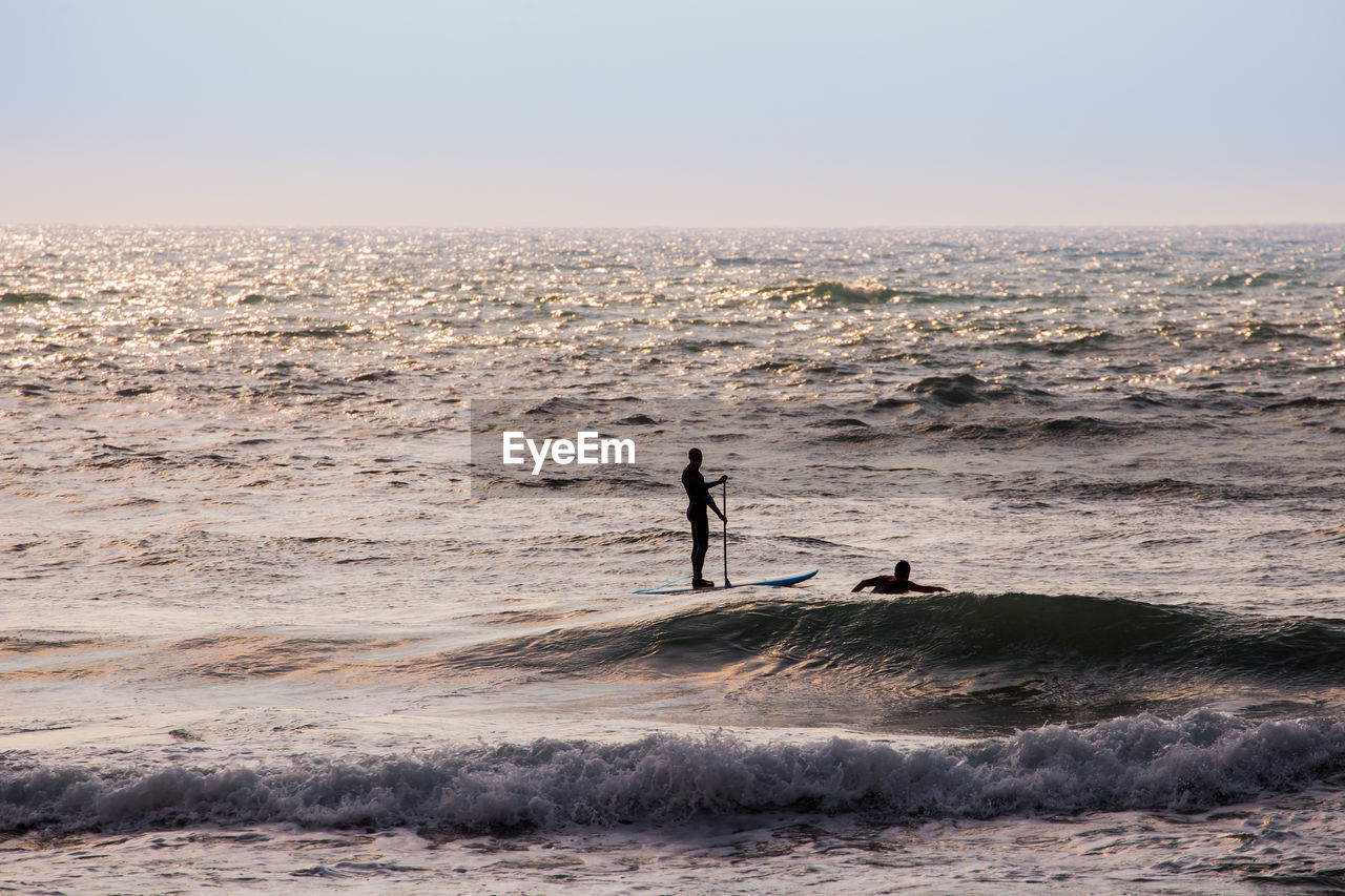 Silhouette men paddleboarding and surfing on sea