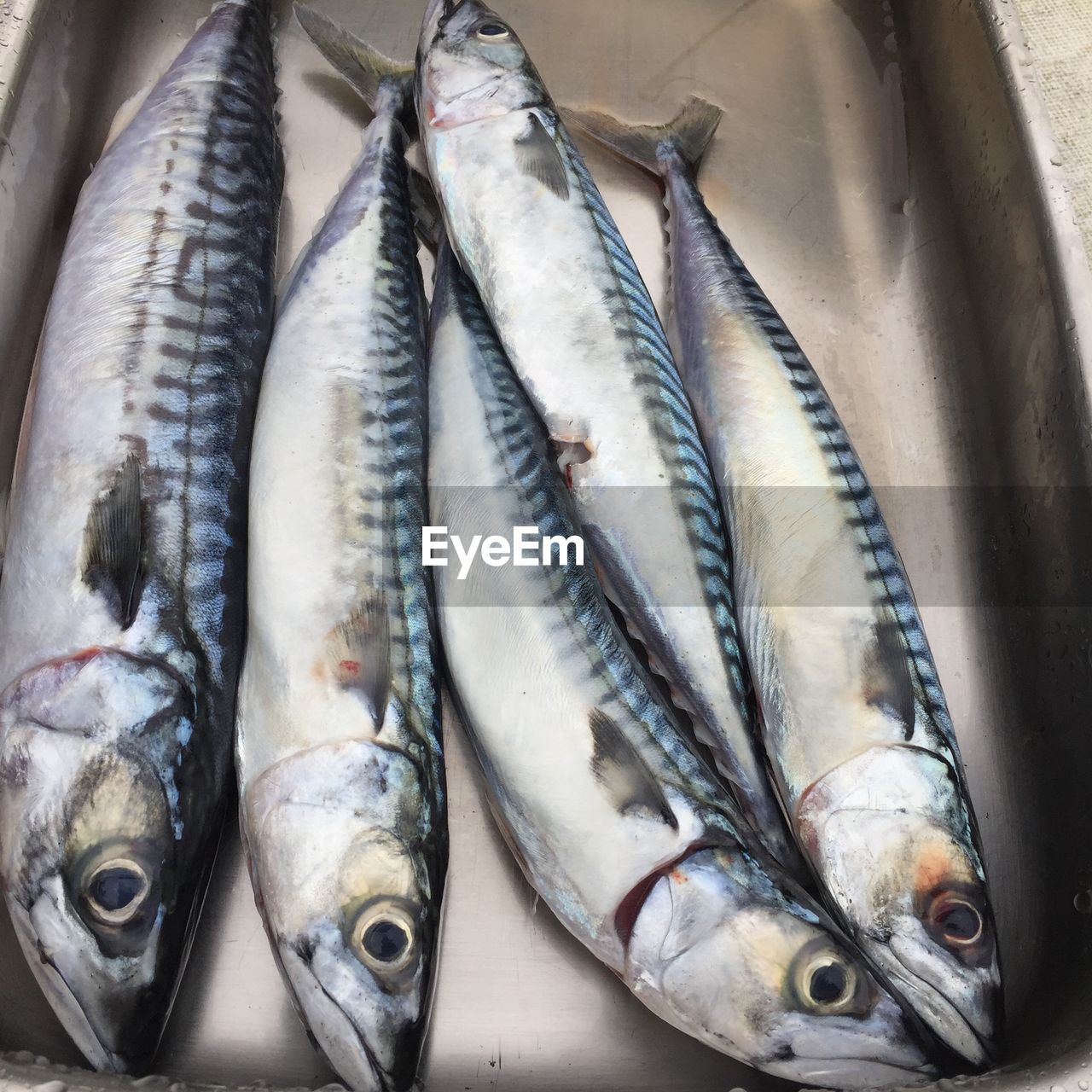 HIGH ANGLE VIEW OF FISH FOR SALE AT MARKET