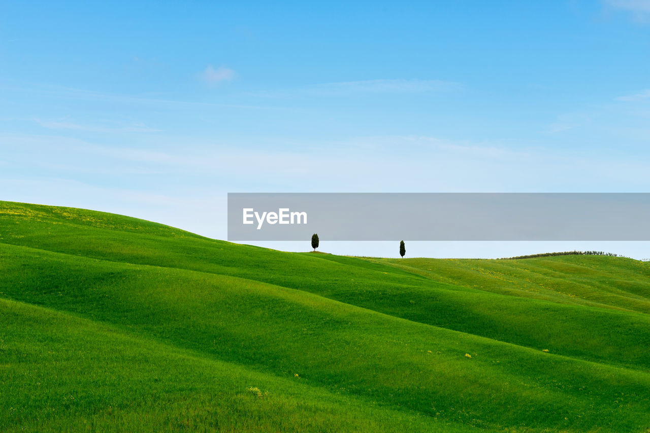 Scenic view of grassy field against sky