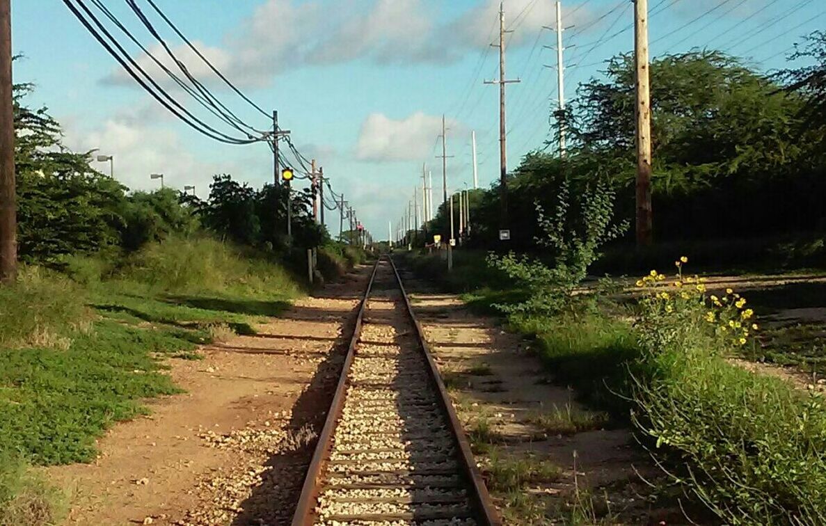 RAILROAD TRACK WITH TREES IN BACKGROUND