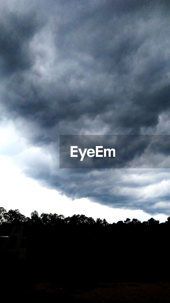 SILHOUETTE TREES AGAINST STORM CLOUDS