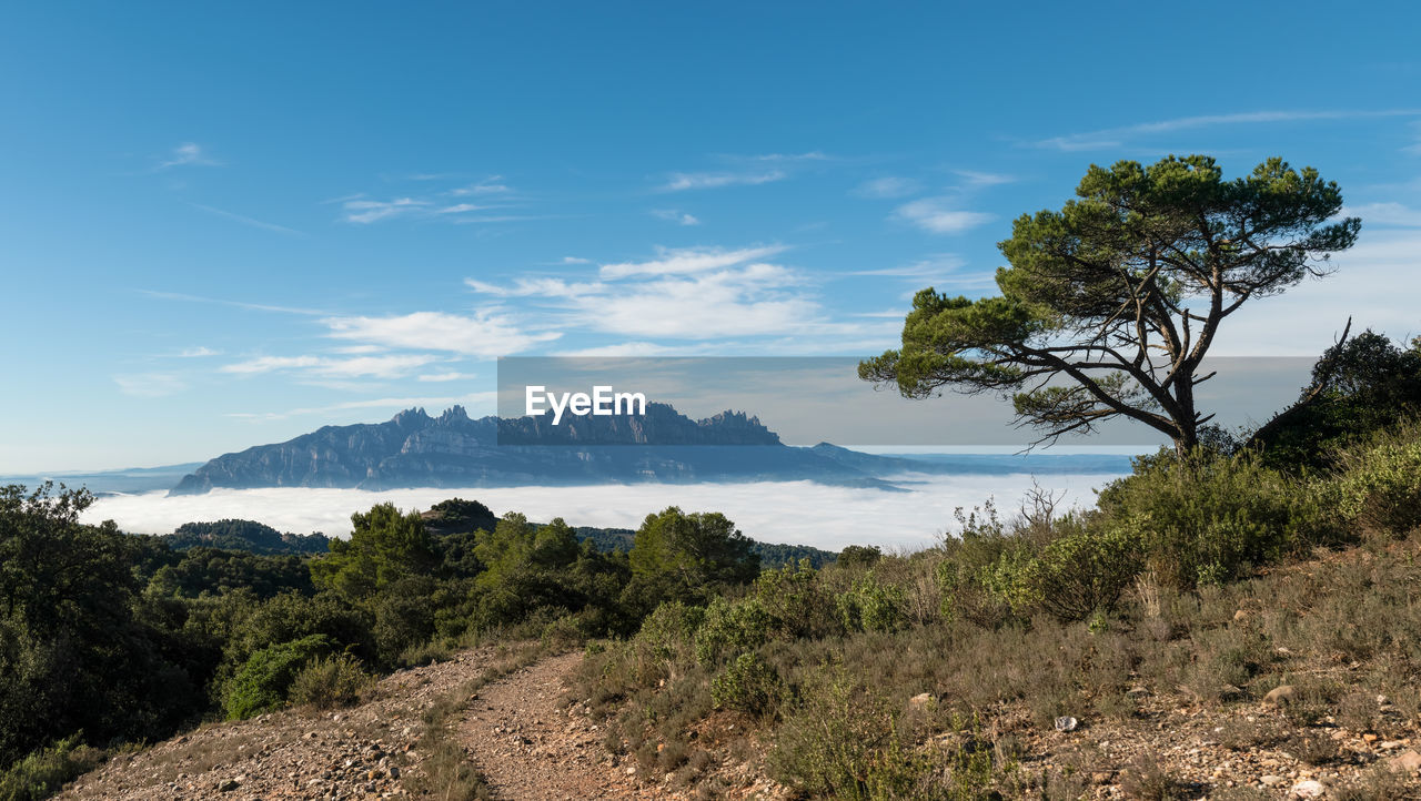 SCENIC VIEW OF TREES BY MOUNTAINS AGAINST SKY