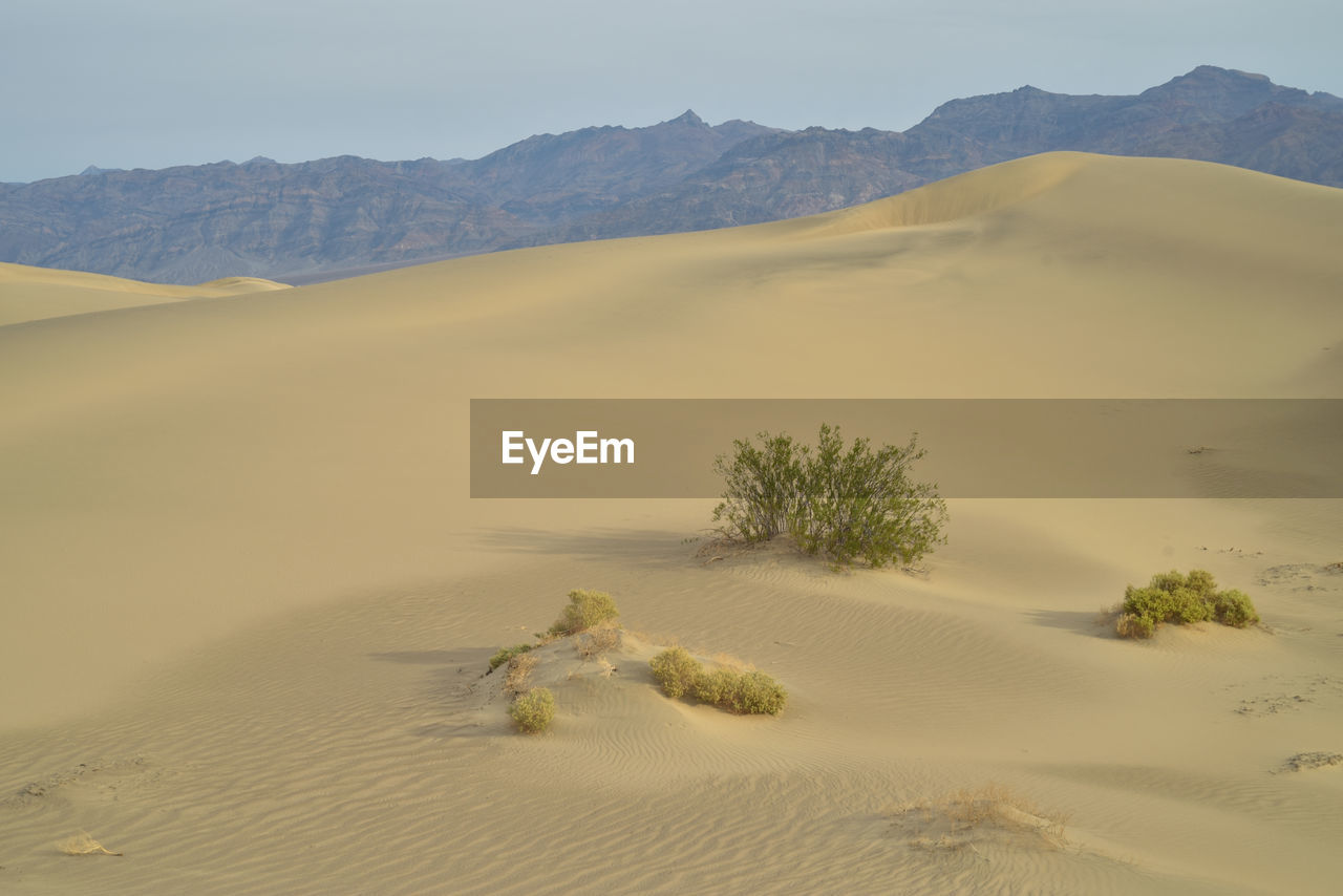 Scenic view of desert against clear sky