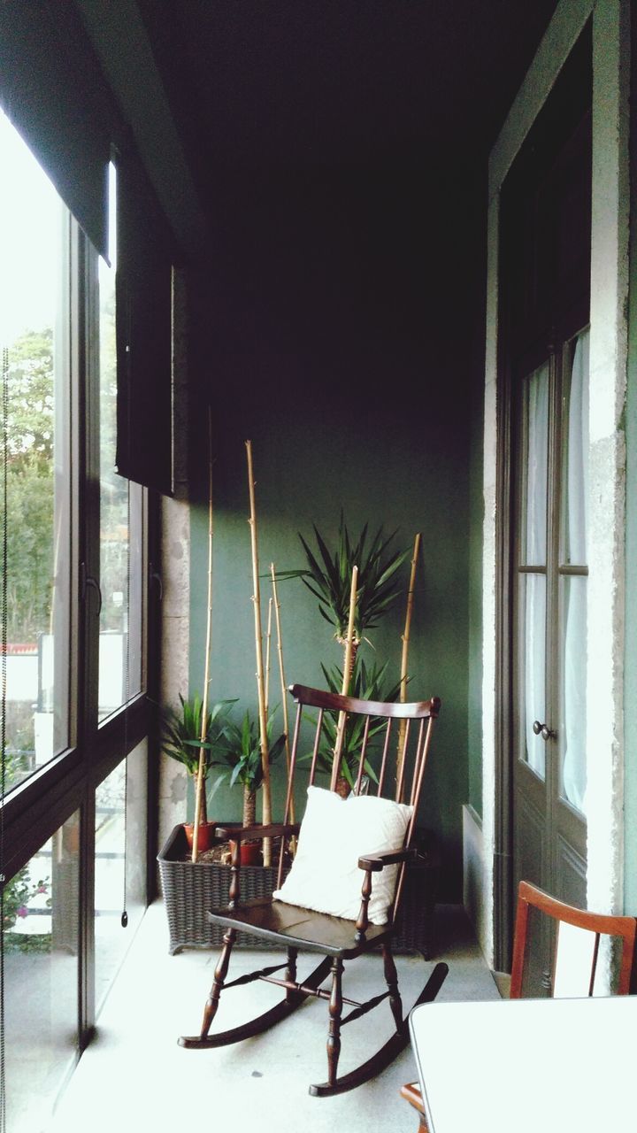 CLOSE-UP OF POTTED PLANT ON TABLE BY WINDOW