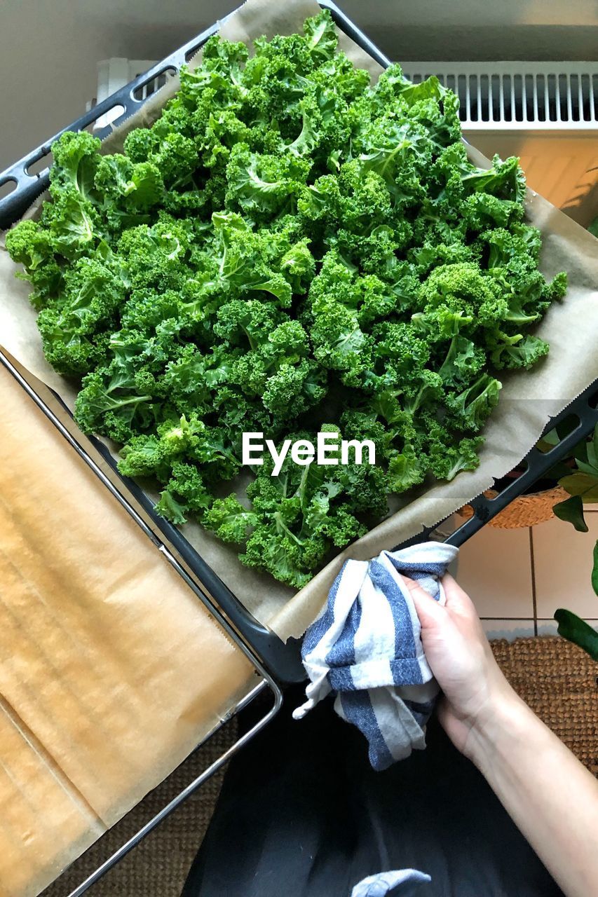 HIGH ANGLE VIEW OF PERSON HOLDING FOOD ON TABLE
