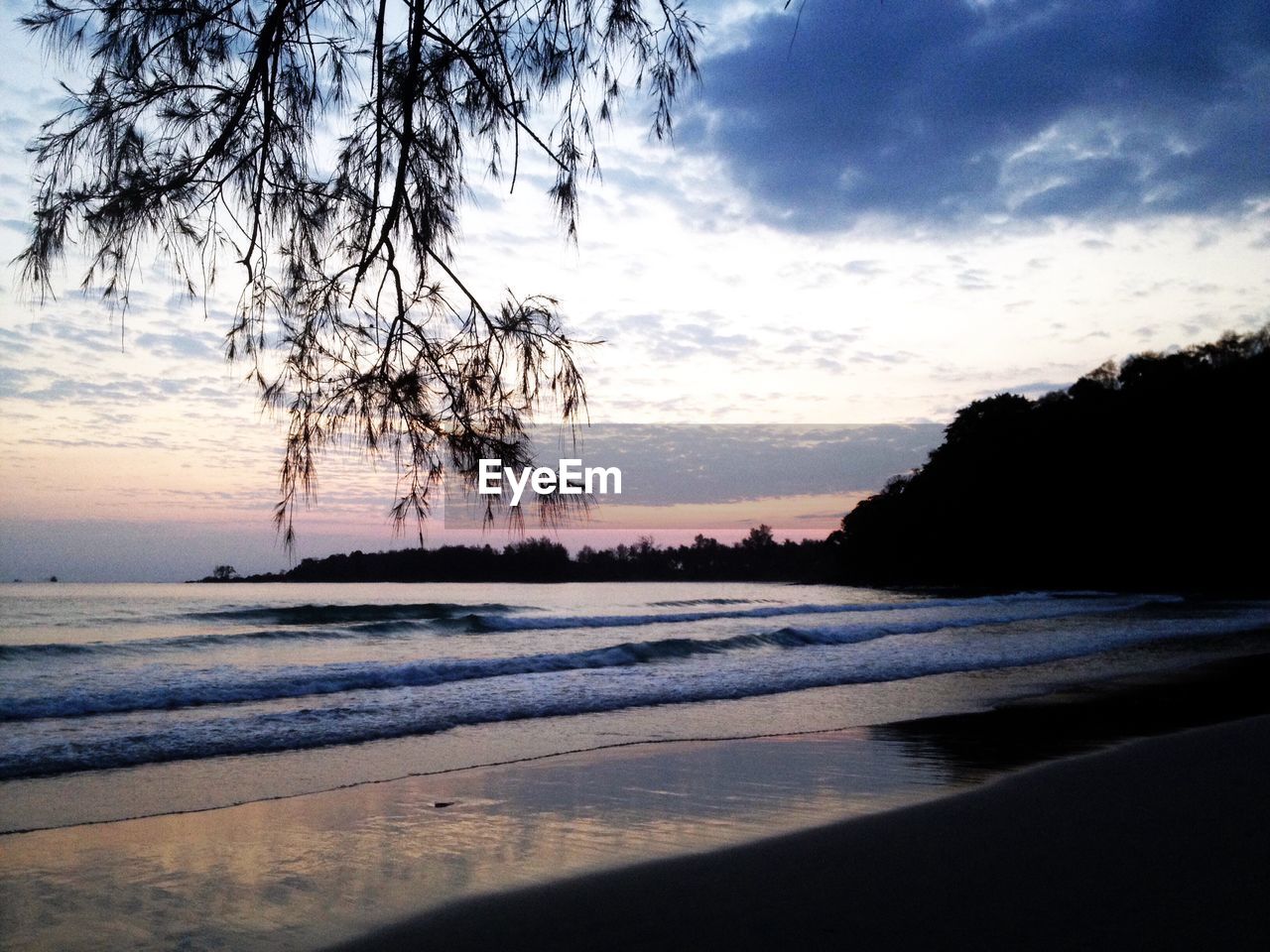 SILHOUETTE TREES ON BEACH AGAINST SKY AT SUNSET