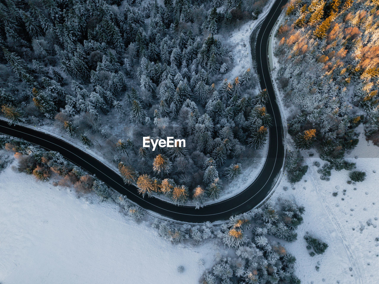 Snow covered trees and curved road from above at aunrise in the forest. winter nature background.