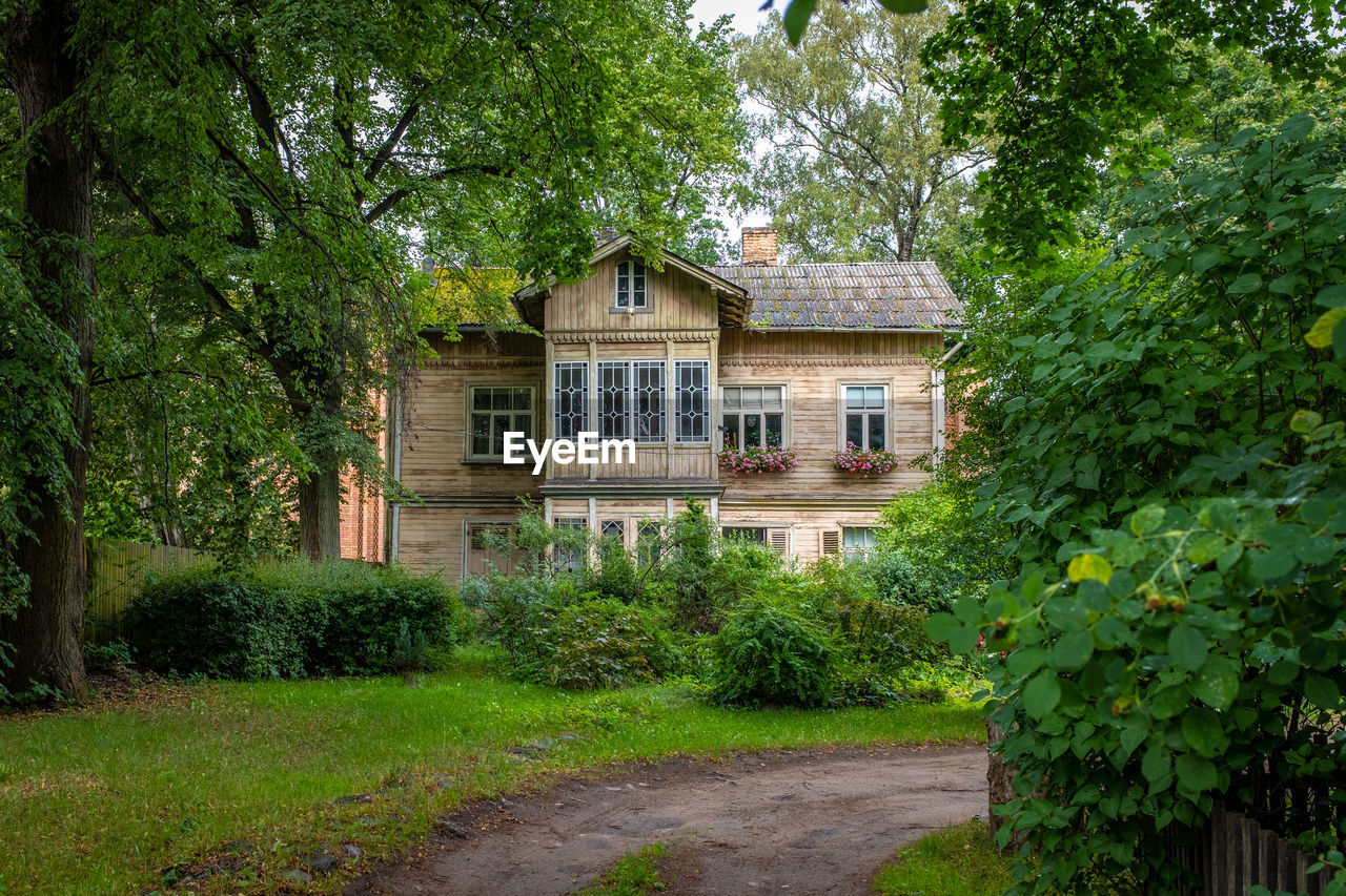 HOUSE AMIDST TREES AND PLANTS GROWING OUTSIDE BUILDING