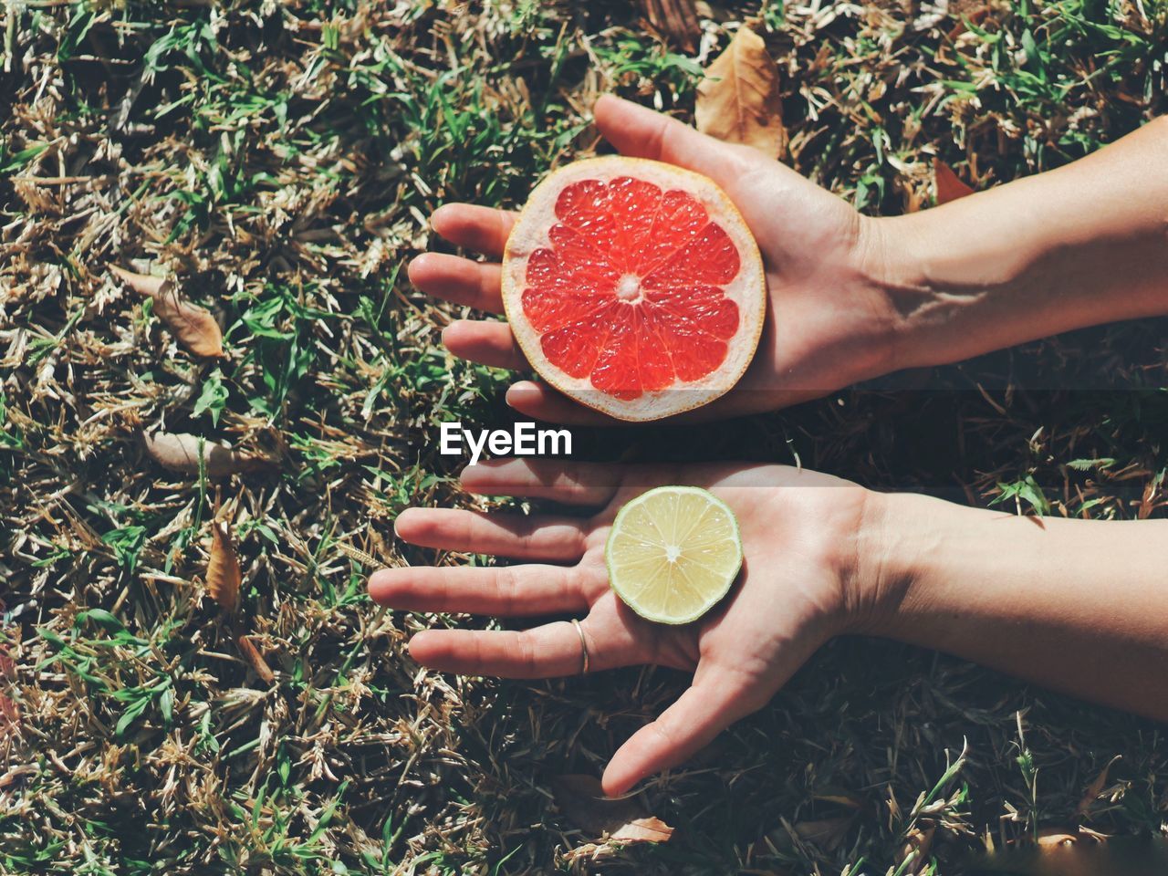 Cropped hands of woman with citrus fruits over grass