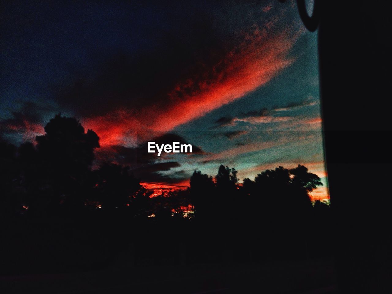 SILHOUETTE OF TREES AT SUNSET