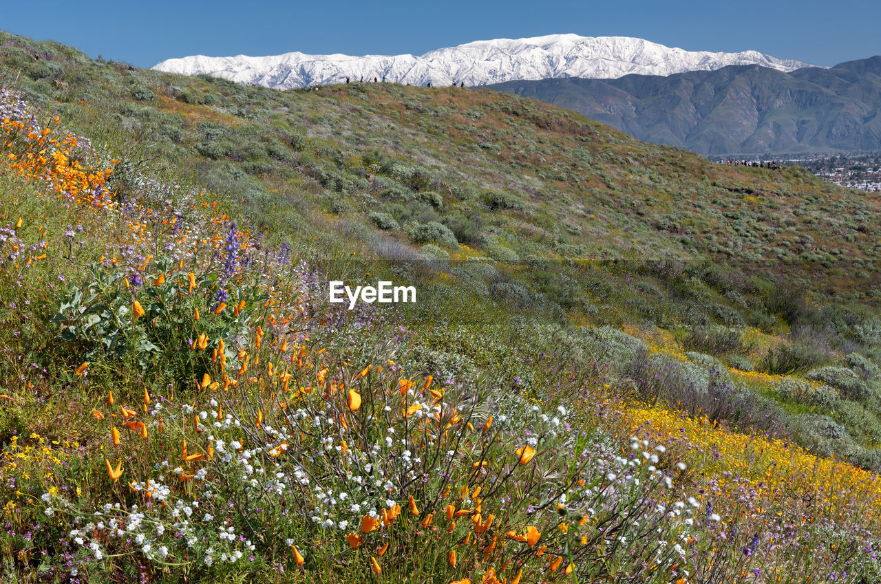 Scenic view of mountains