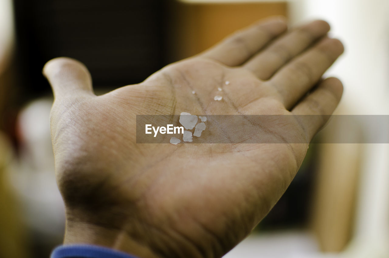 Cropped image of hand with sugar on palm