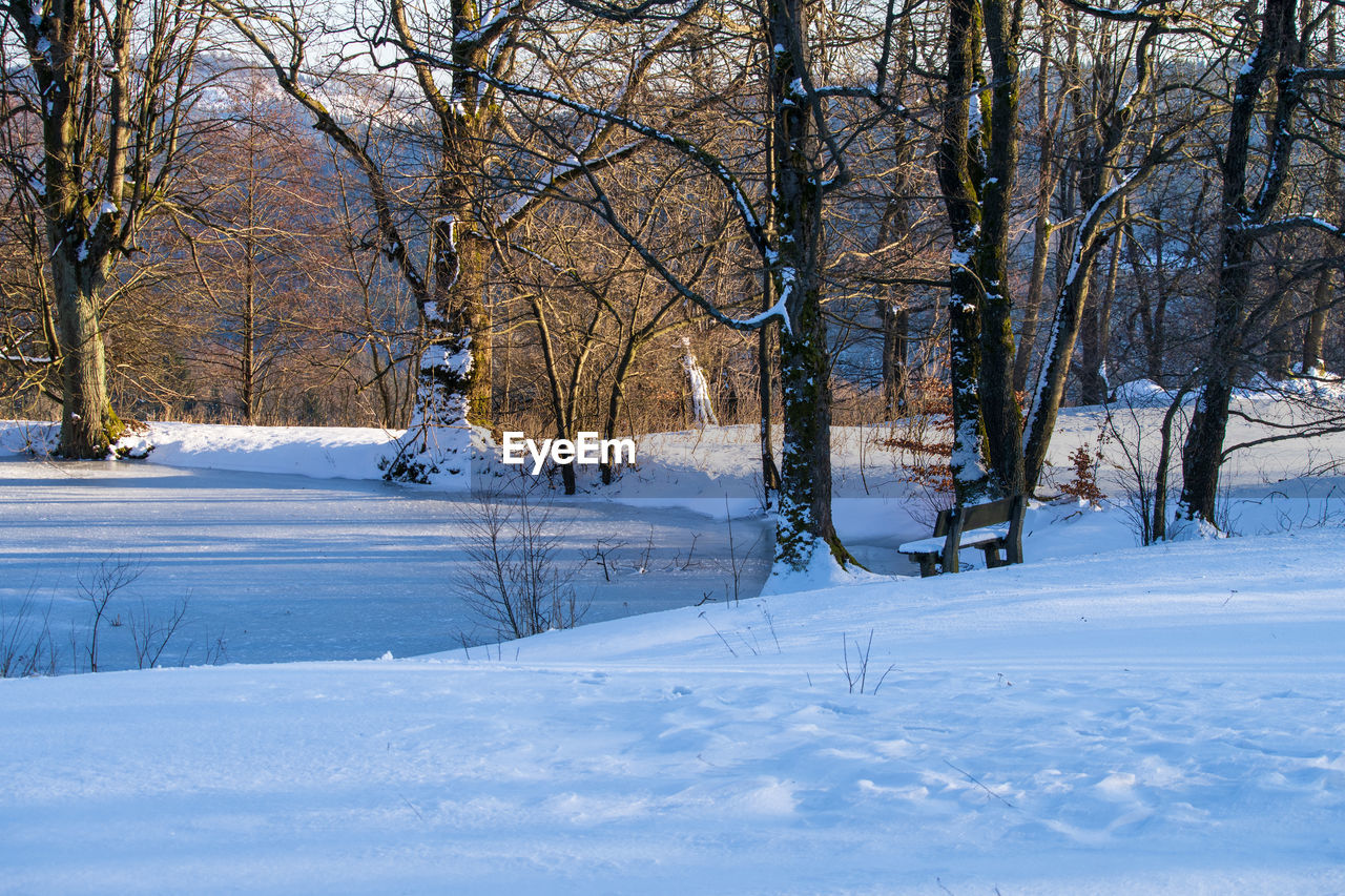 Empty bench in snowy landscape near a frozen lake