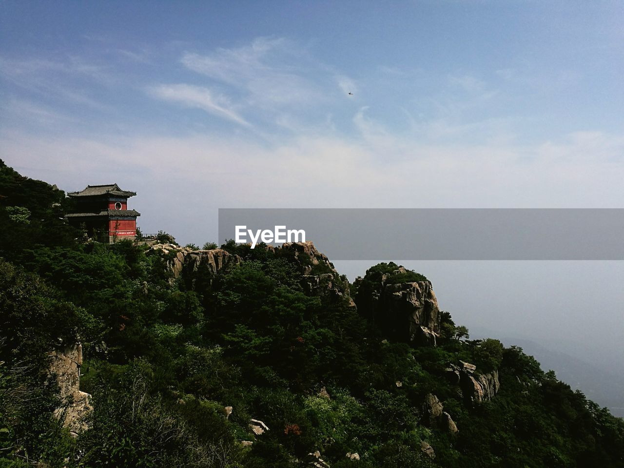 Low angle view of trees on cliff against sky