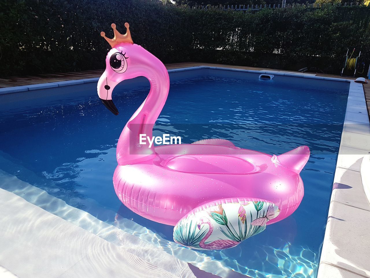 Close-up of pink inflatable floating on water in swimming pool