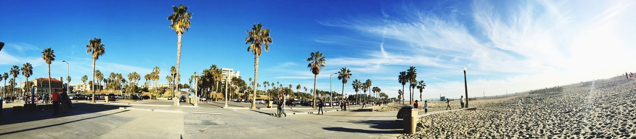 Panoramic shot of palm trees against blue sky