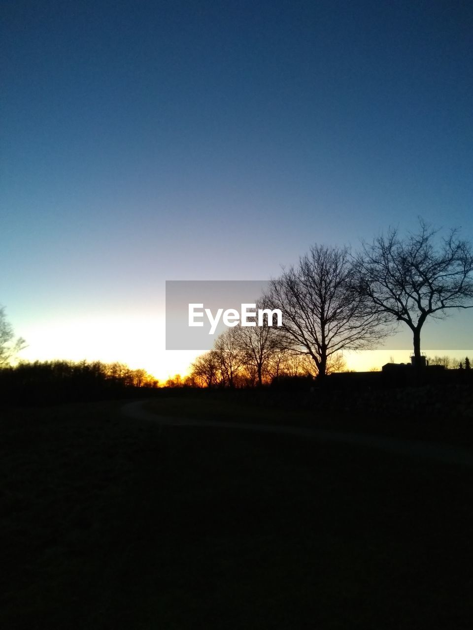 SILHOUETTE TREES ON FIELD AGAINST CLEAR SKY DURING SUNSET