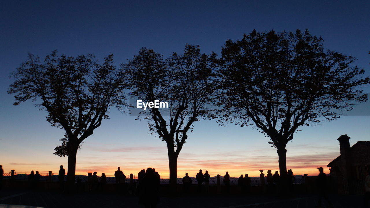 SILHOUETTE PEOPLE BY TREE AGAINST SKY AT SUNSET