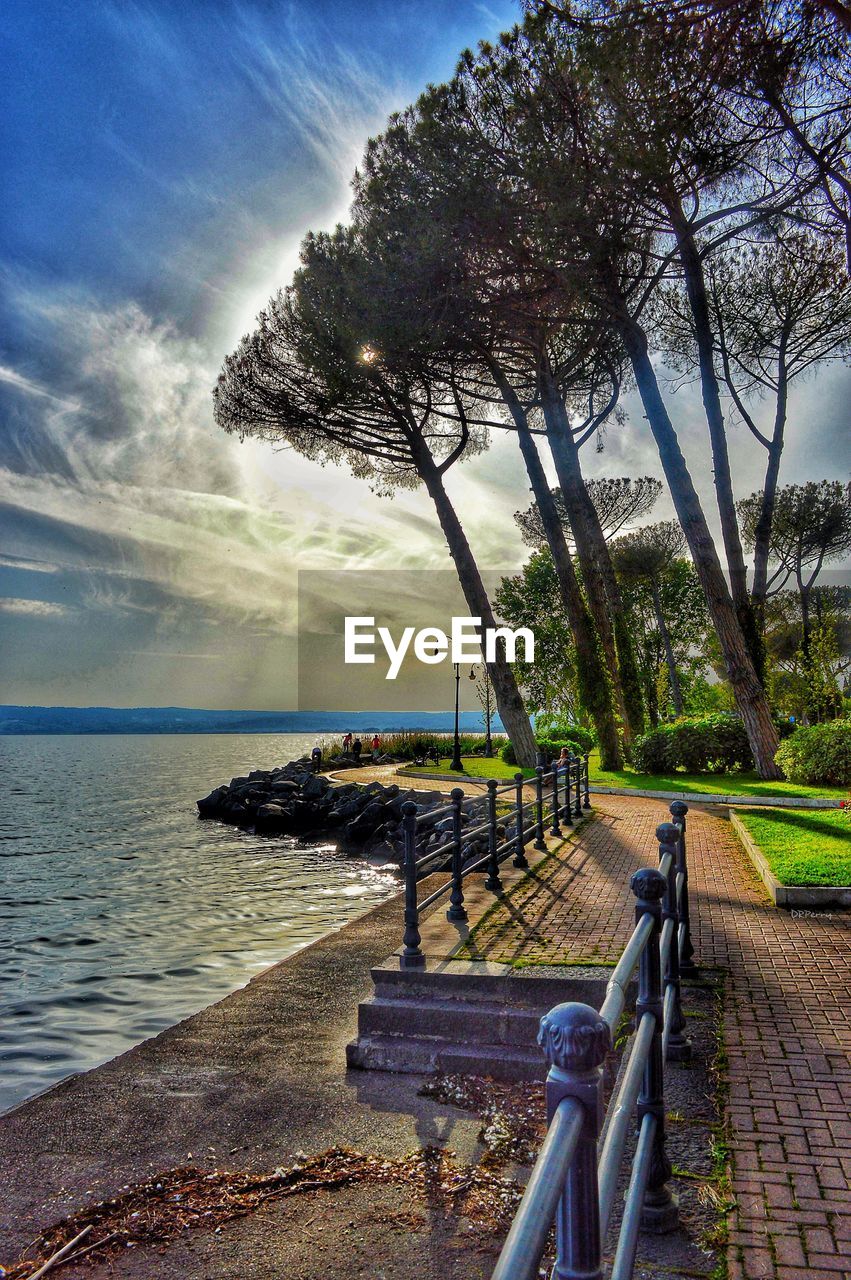 SCENIC VIEW OF SEA BY TREES AGAINST SKY