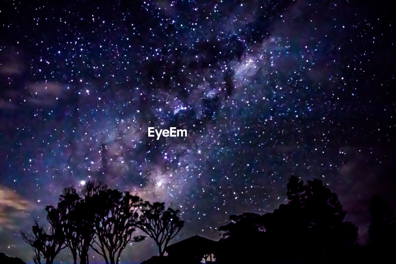 LOW ANGLE VIEW OF SILHOUETTE TREES AGAINST STAR FIELD AGAINST SKY