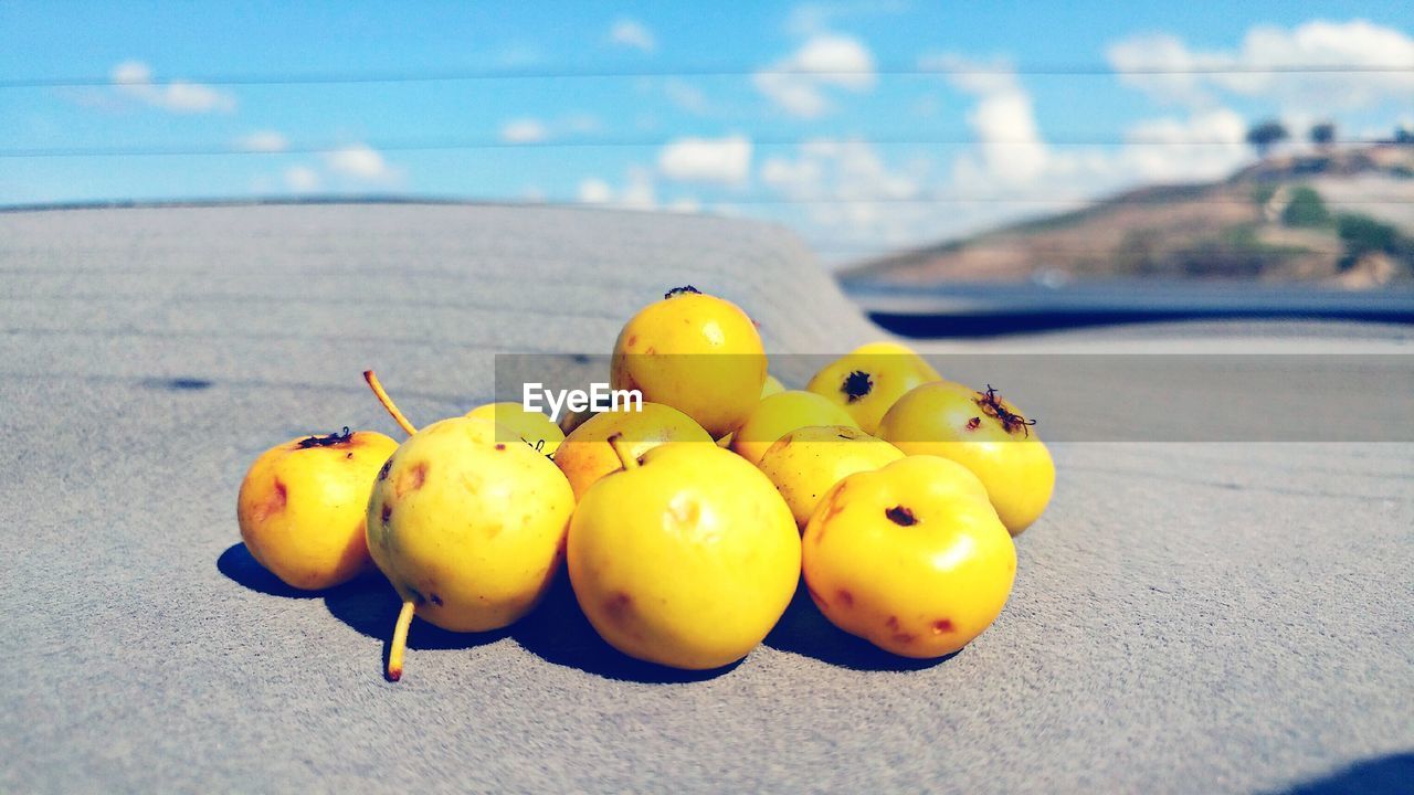 Close-up of fruits in car