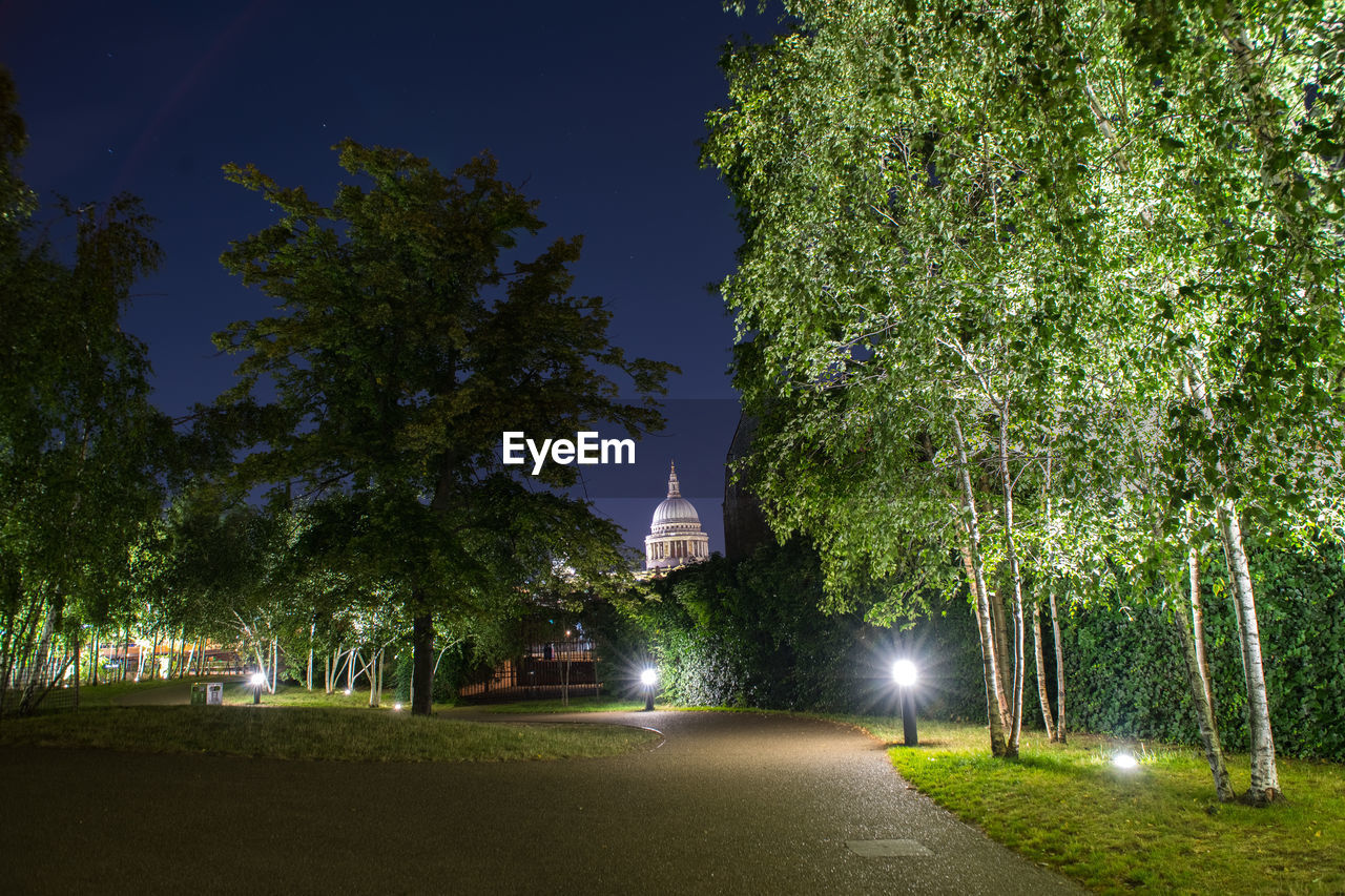 TREES BY ILLUMINATED BUILDING AT NIGHT