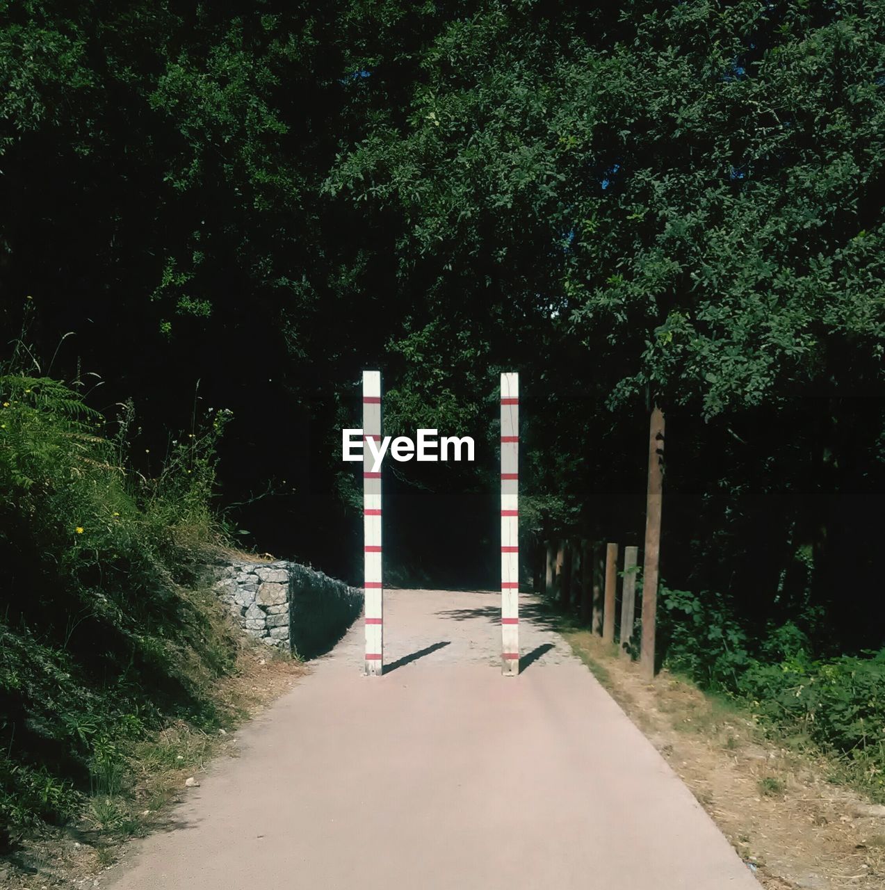 Bridge over road amidst trees