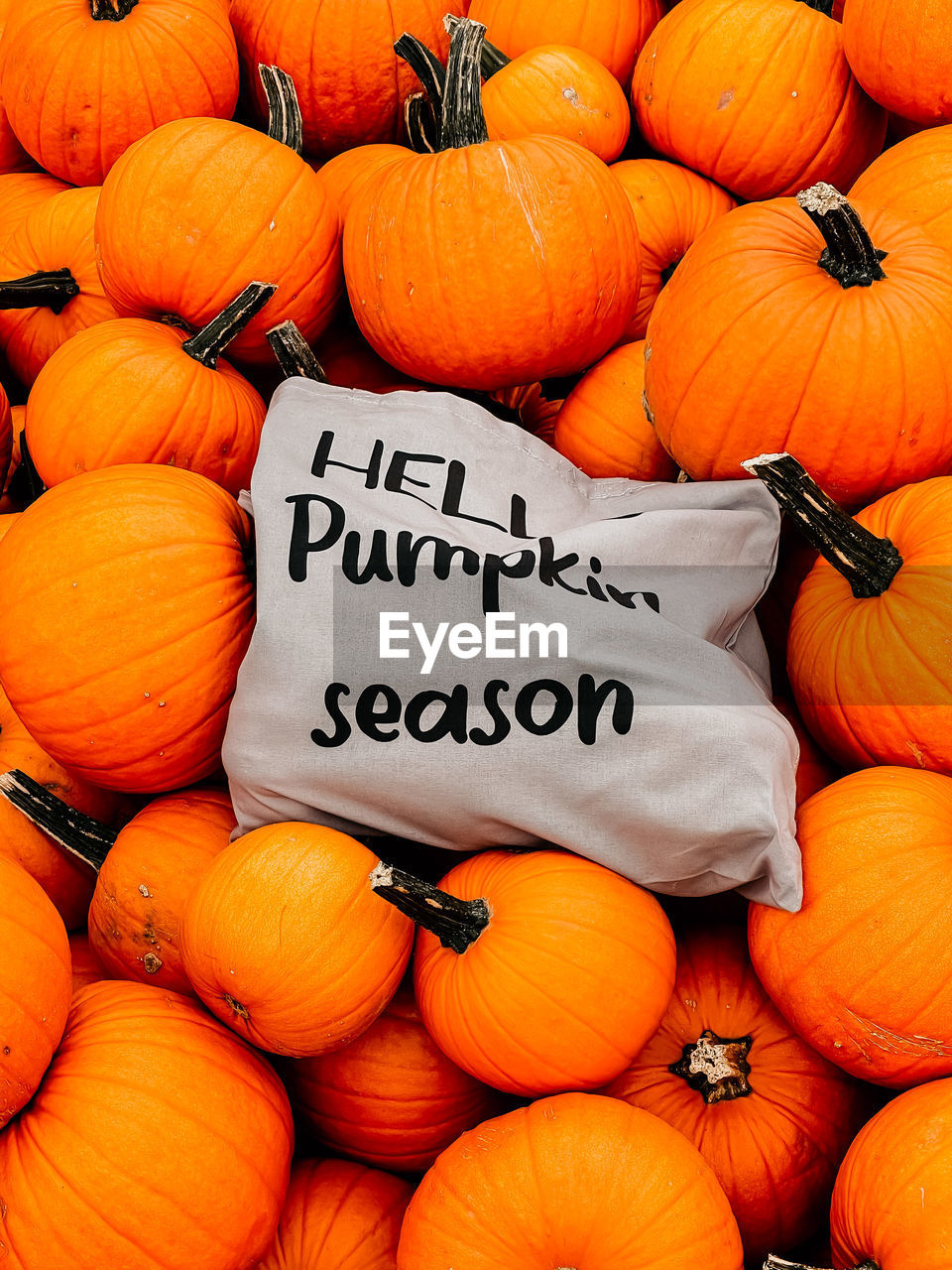 HIGH ANGLE VIEW OF PUMPKINS IN MARKET